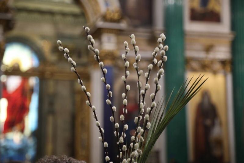 фото из свободного интернета, оргинал по ссылке: https://spbdnevnik.ru/uploads/block/image/1182632/__medium_0b381ac05901d459995c8de6ad4eaf56.jpg.jpg