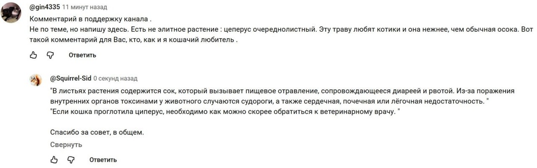 В свете вчерашнего поста про пожирание растений котиками обещала еще про циперус скрин