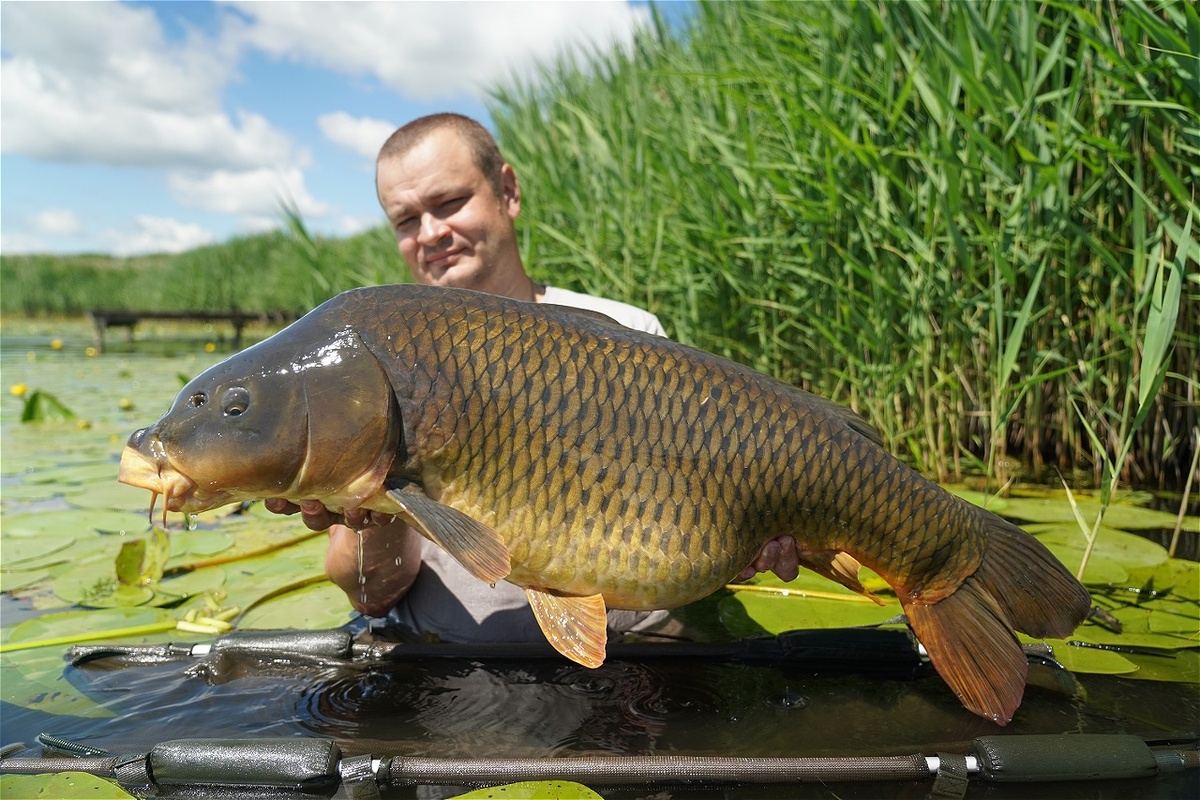 Сергей Разлатый, Мастер спорта, Чемпион России, Тренер сборной России по ловле карпа