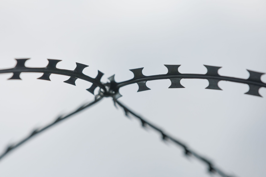    Алексей Белкин/NEWS.ru