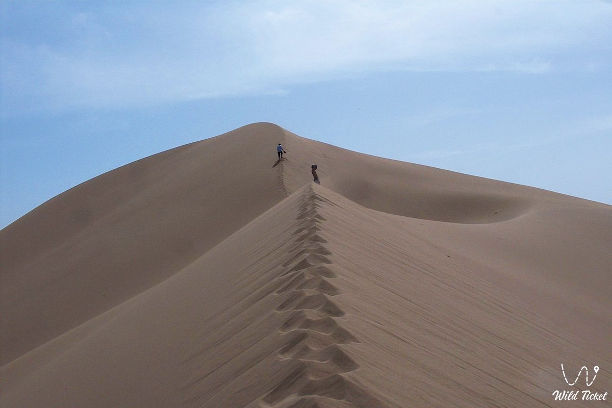 Из открытых источников