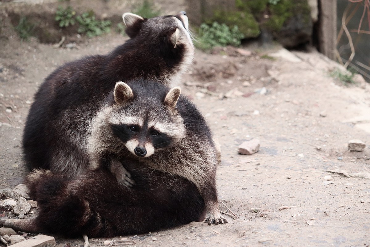    Изображение носит иллюстративный характер. Фото: wirestock / Freepik.com