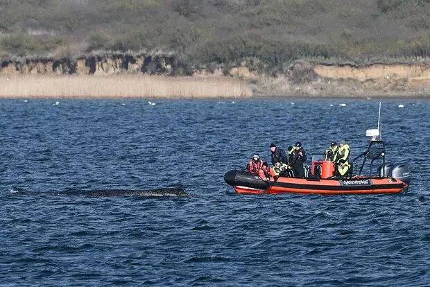    Источник: lenta.ru/ Дмитрий