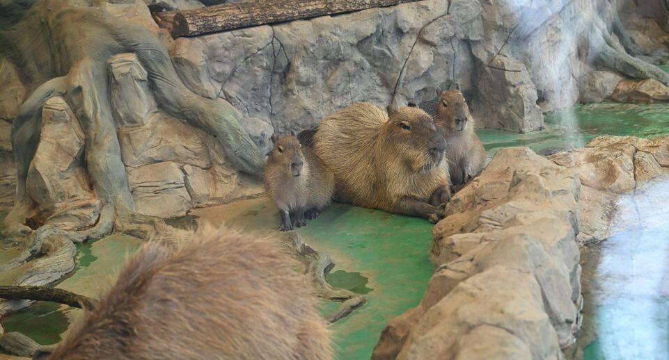    Komsomolskaya Pravda/Global Look Press / www.globallookpress.com