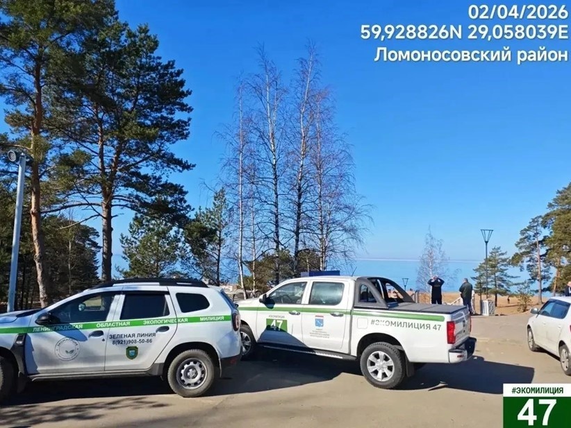    Автор фото: t.me/lenobladminka