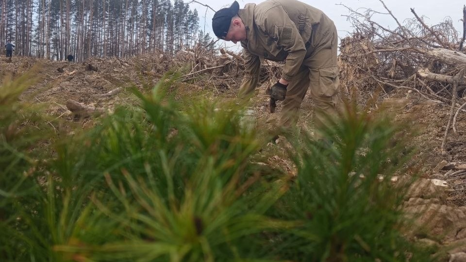 🌲Акция «Лес! Дабро! Парадак!» продолжается в Шкловском районе