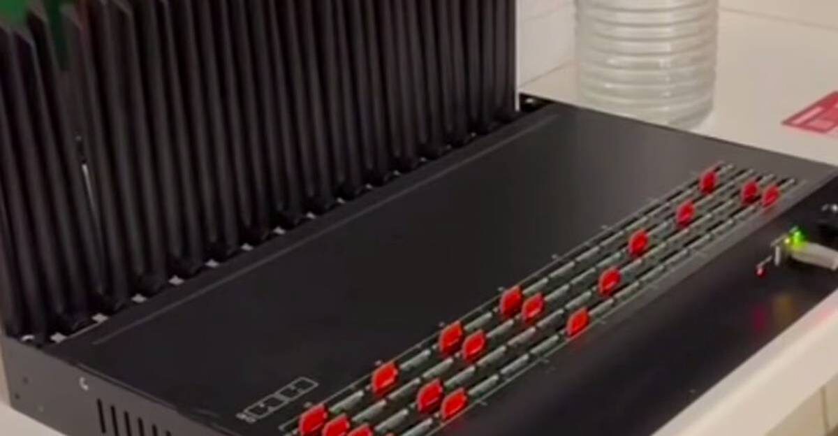    Фото: скриншот видео / Ирина Волк / Telegram