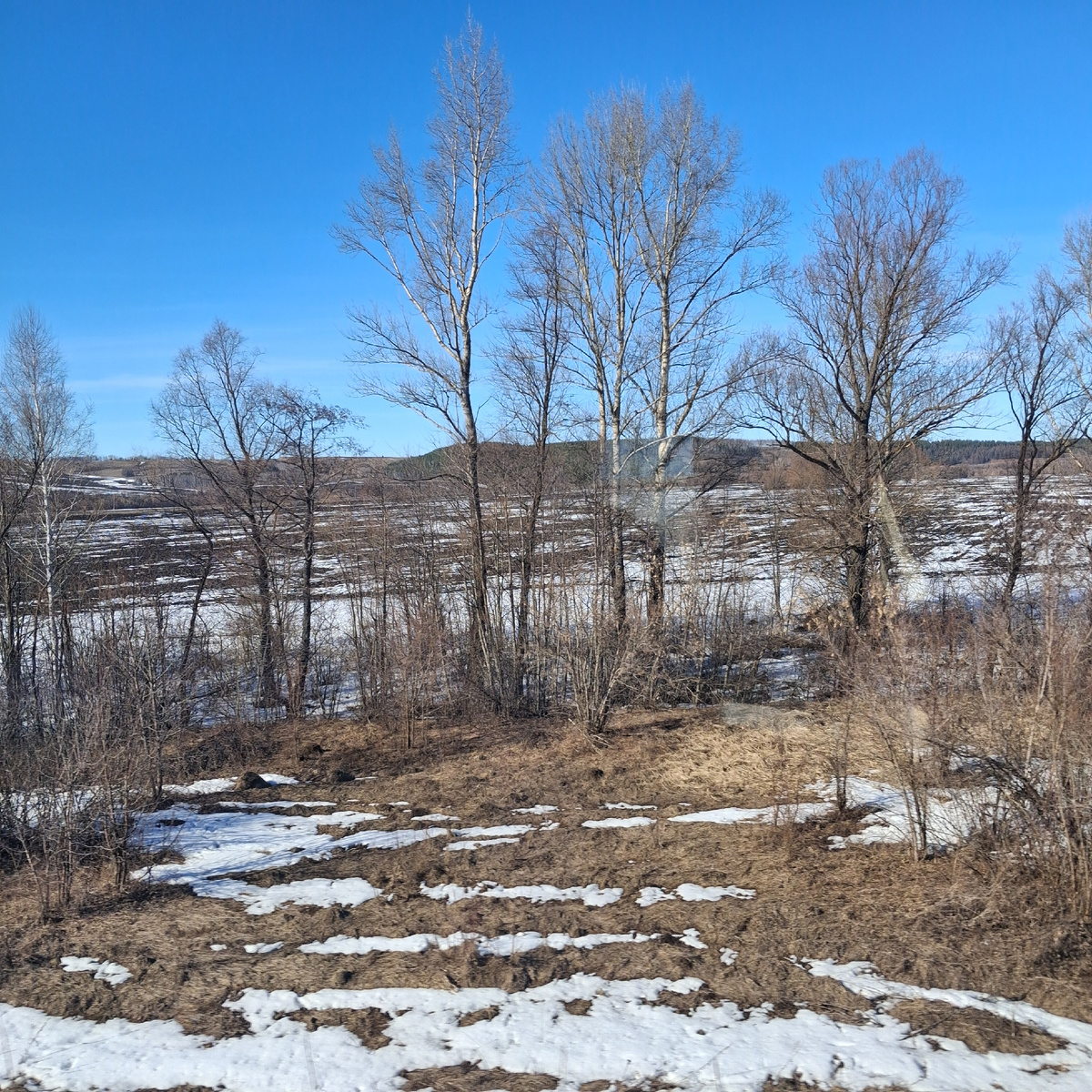 Весенний пейзаж из окна поезда. Фото автора. 