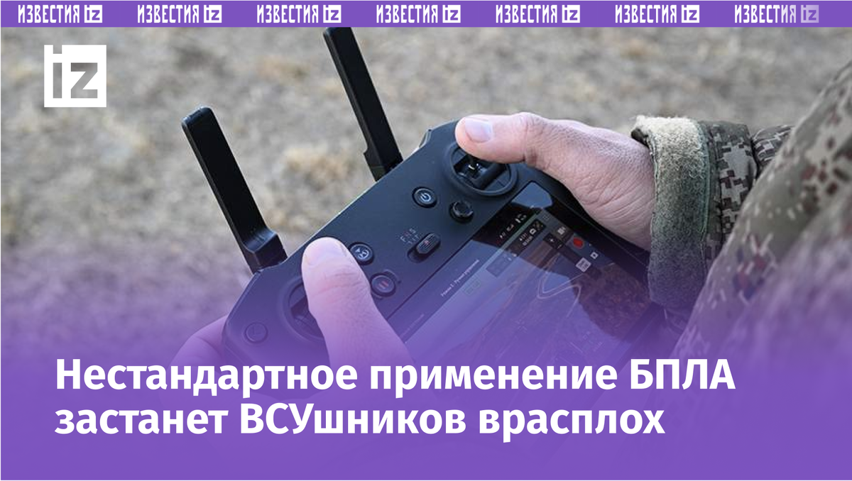 Фото: РИА Новости/Виталий Аньков