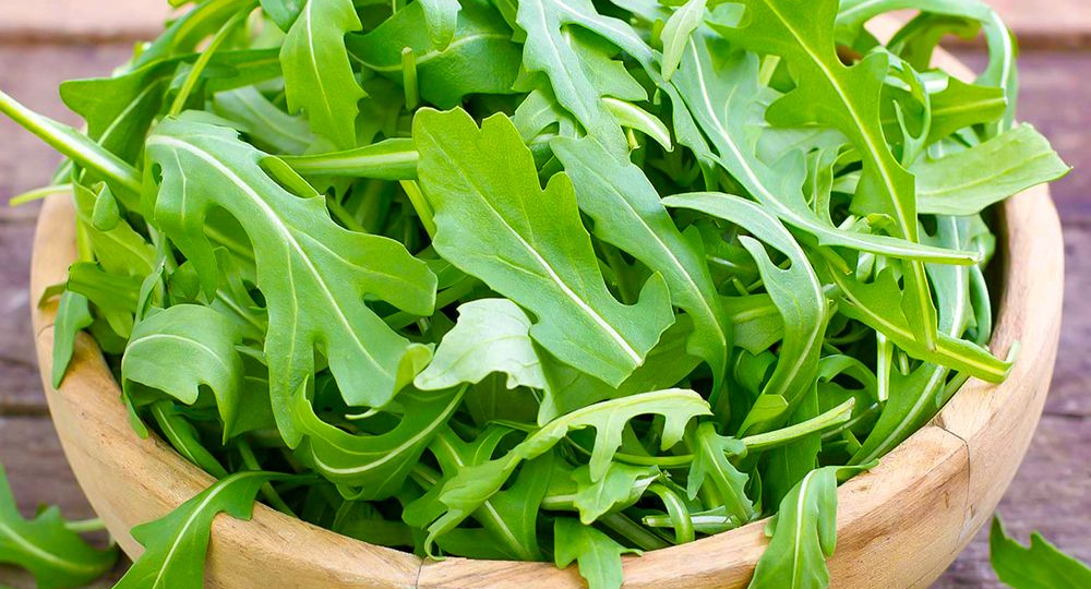 Руккола: горькая правда о модной зелени