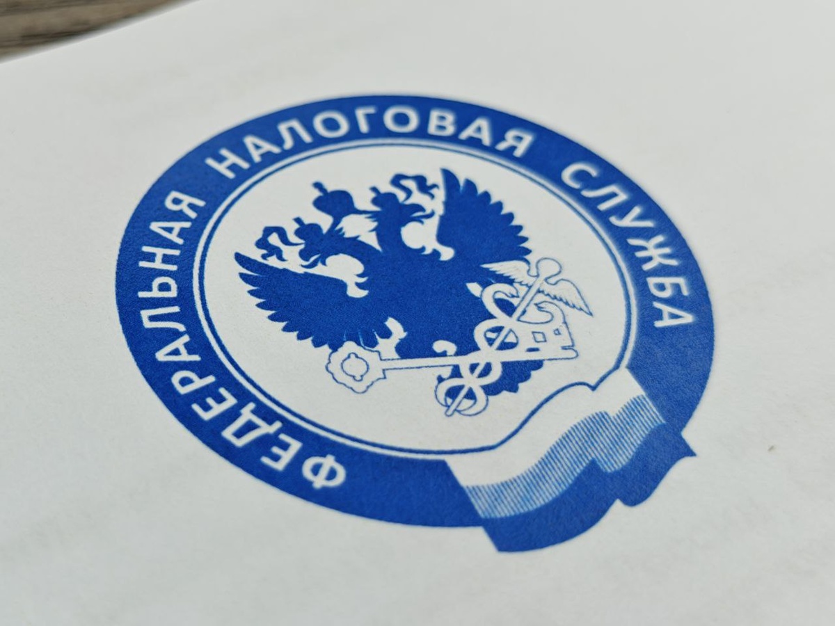    Фото: Юрий Серебренников/BFM Кубань