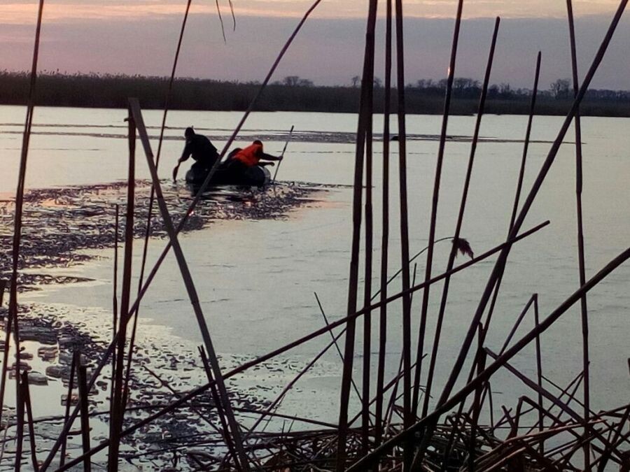     / Источник: © МЧС РФ/РИА Новости