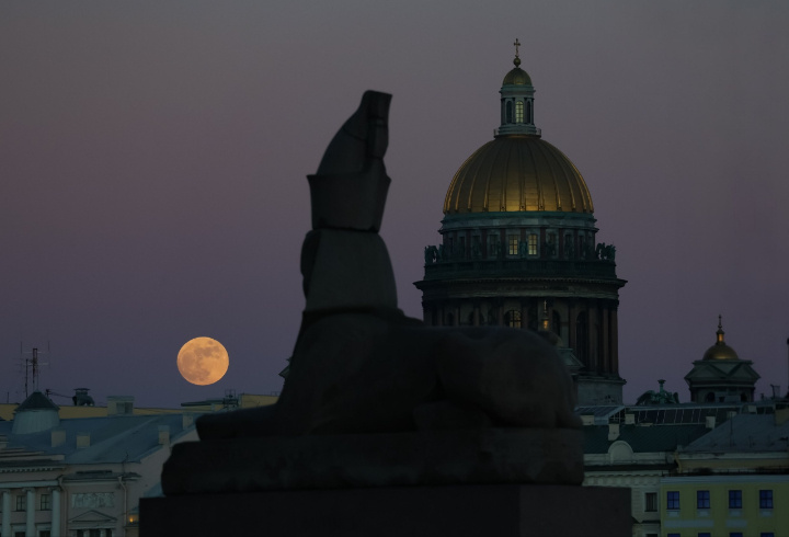 фото: АстроФотоБолото/ @veryredfox