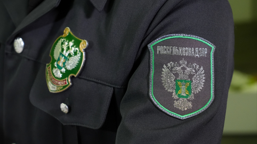    Фото: ИЗВЕСТИЯ/Эдуард Корниенко; 5-tv.ru