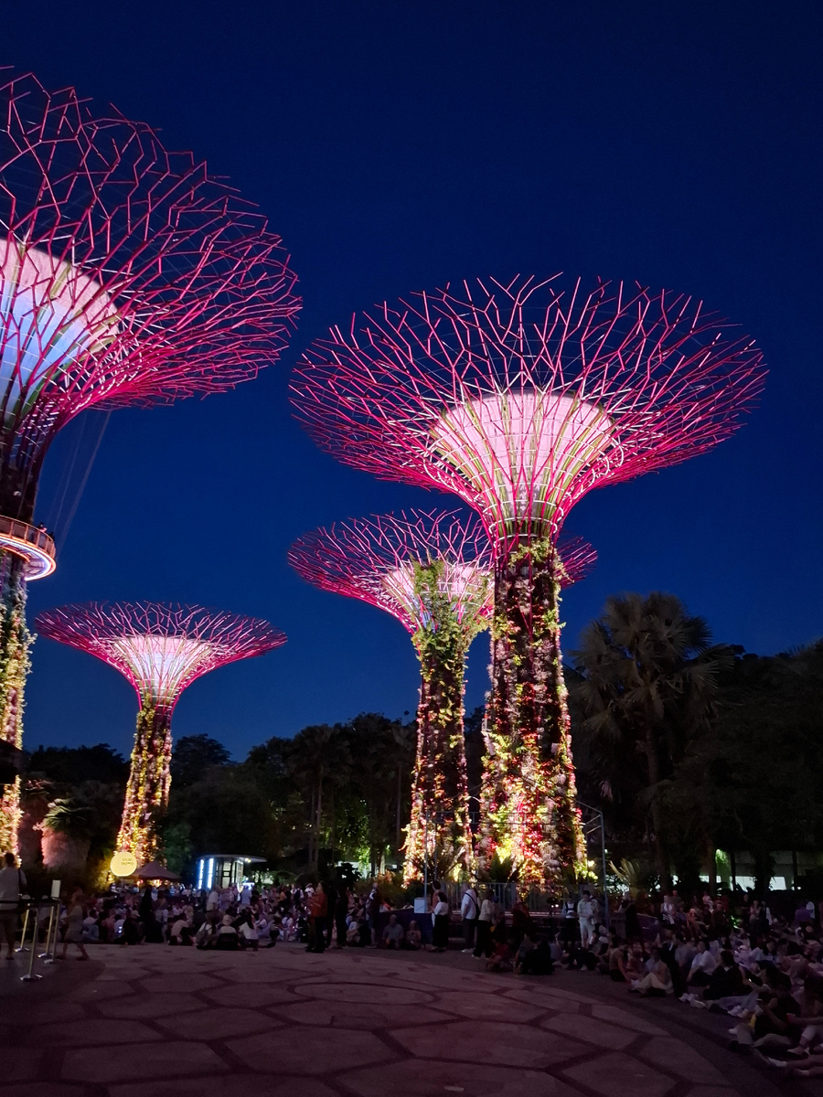 "Сады у залива" (Gardens by the Bay). Сингапур