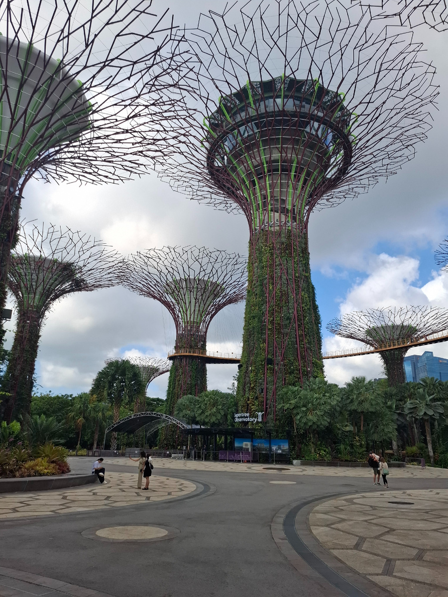  "Сады у залива" (Gardens by the Bay). Сингапур