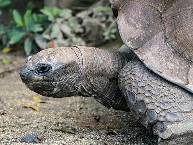    Фото: 123RF.com/keitma