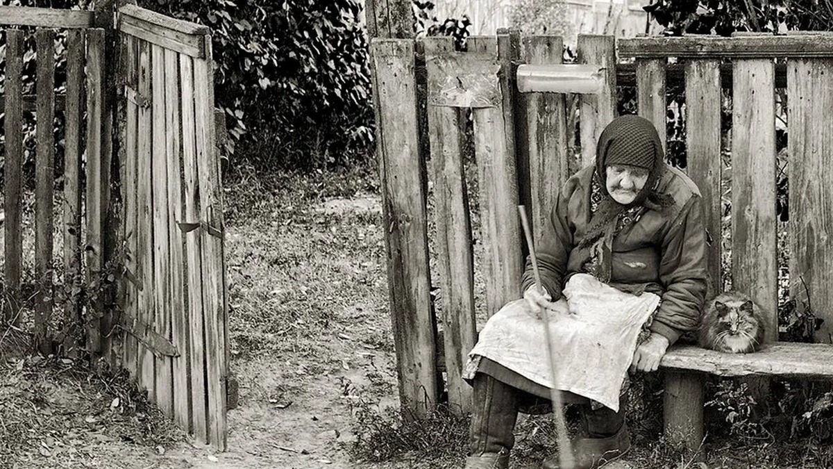 Взято из открытых источников интернета Яндекс.