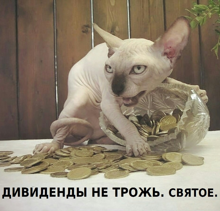 Картинка из открытых источников.