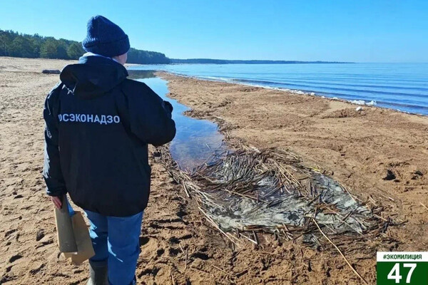 Администрация Ленинградской области   📷