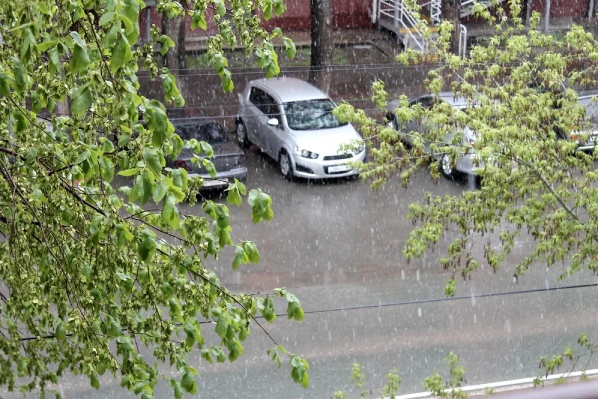    Синоптик Ильин: в Москве на этой неделе возможен мокрый снег