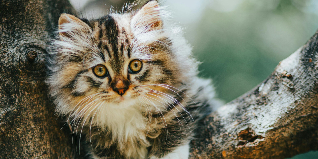 Зачем я такой родился?