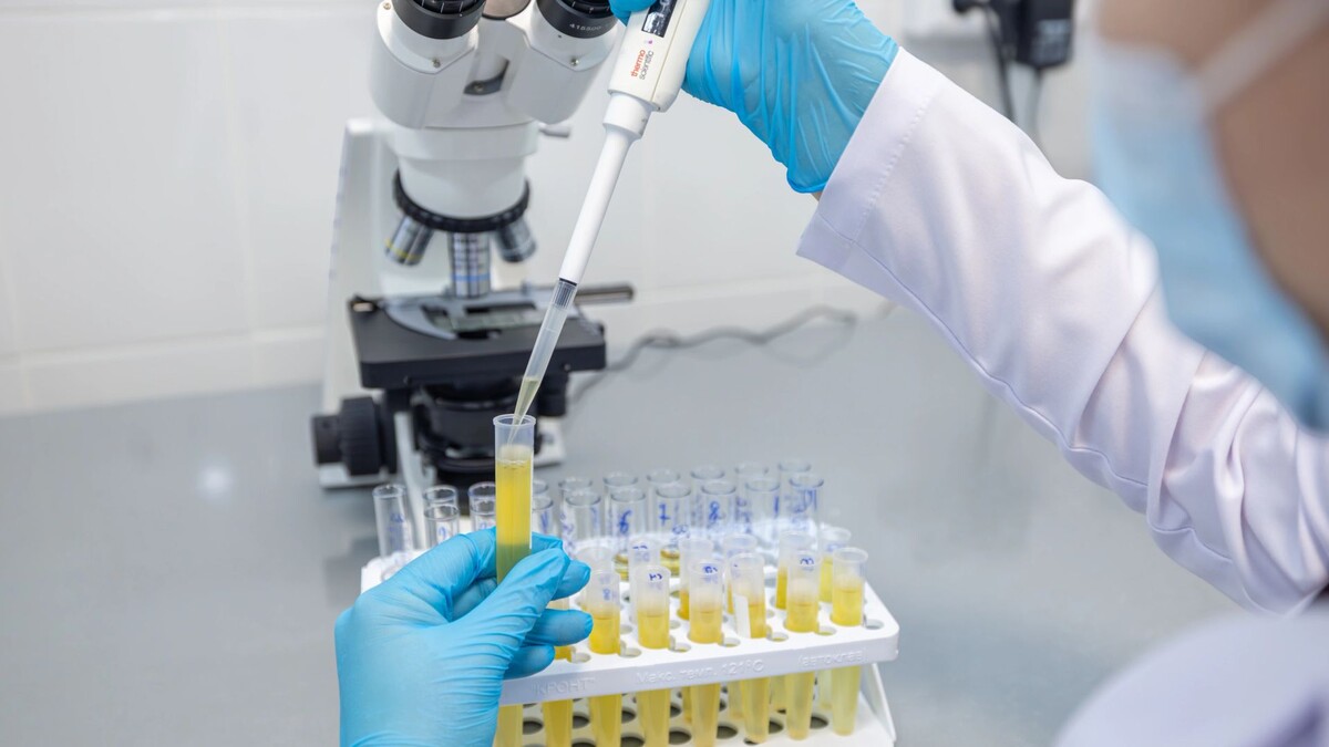    Фото: Никита Погодин / «Ямал-Медиа»