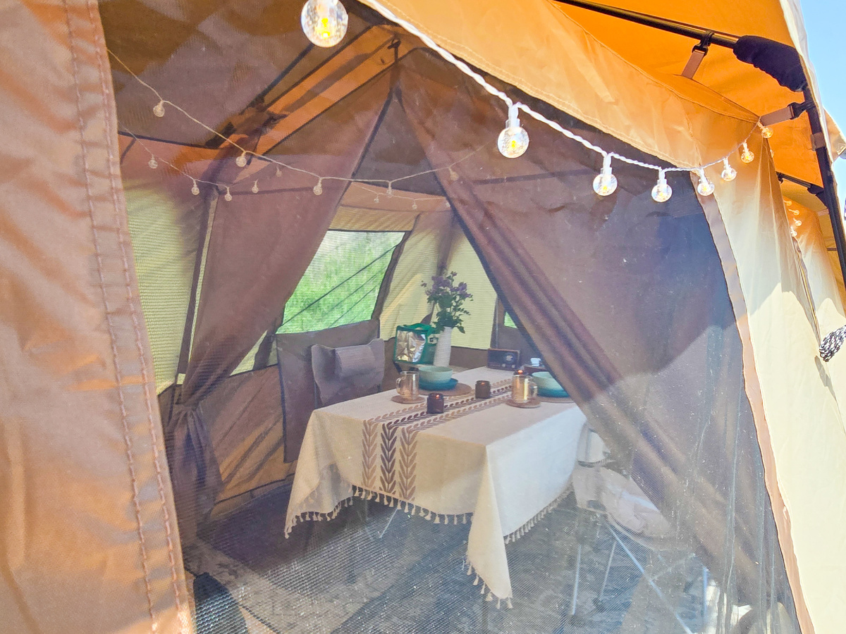 Вид снаружи вовнутрь сквозь москитку