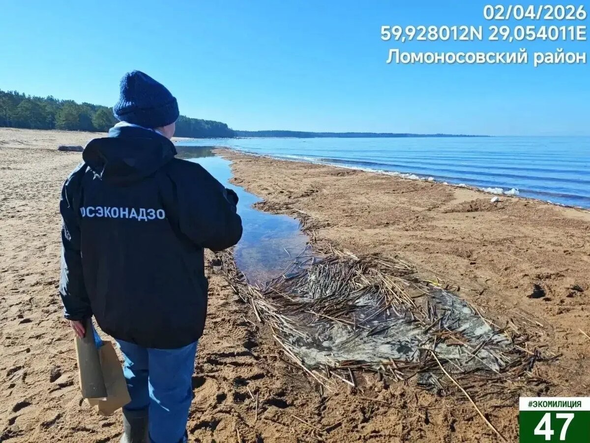    Фото: пресс-служба администрации Ленобласти