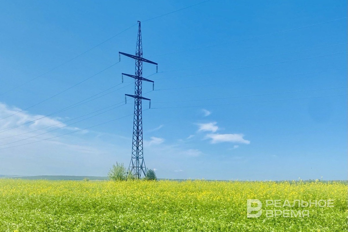   Реальное время / realnoevremya.ru