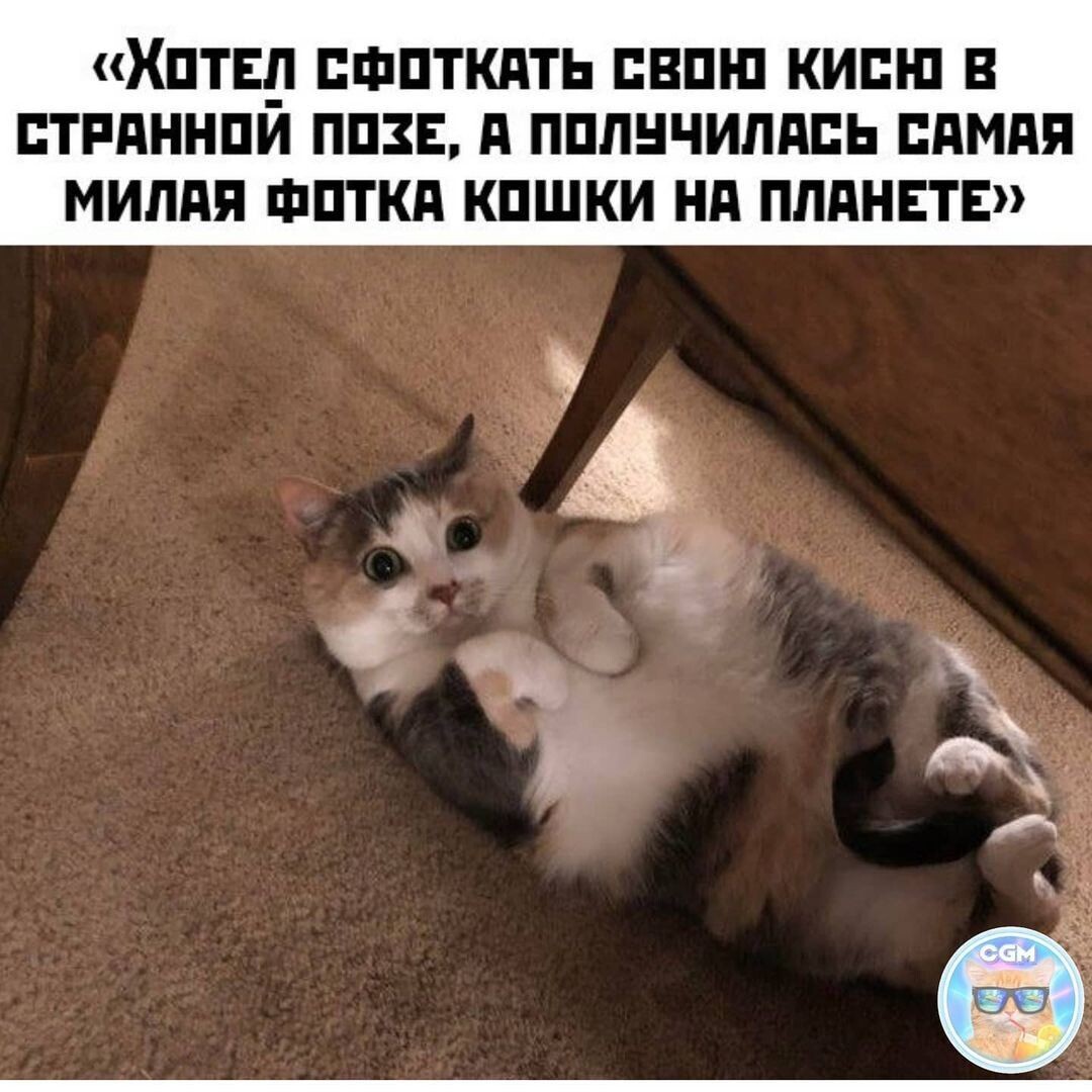 фото из интернета