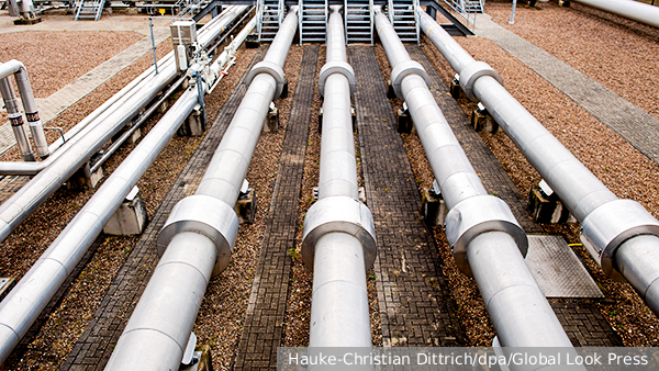     Фото: Hauke-Christian Dittrich/dpa/Global Look Press   
 Текст: Ольга Самофалова