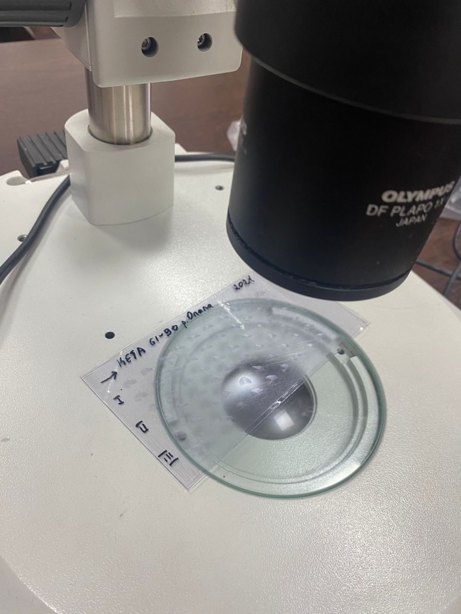 Фото: пресс-служба ВНИРО