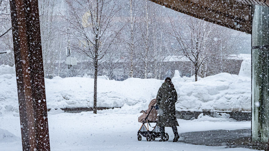    Фото: ИЗВЕСТИЯ/Константин Кокошкин; 5-tv.ru