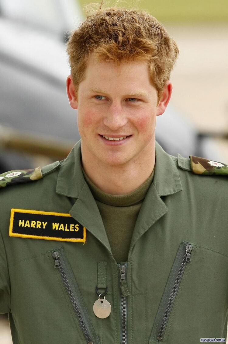 Гарри в 2009 году