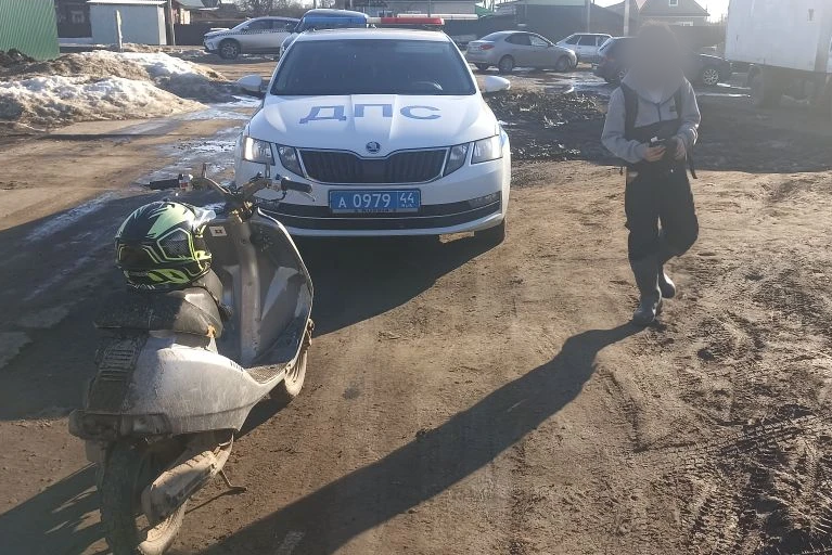 фото УМВД России по Костромской области