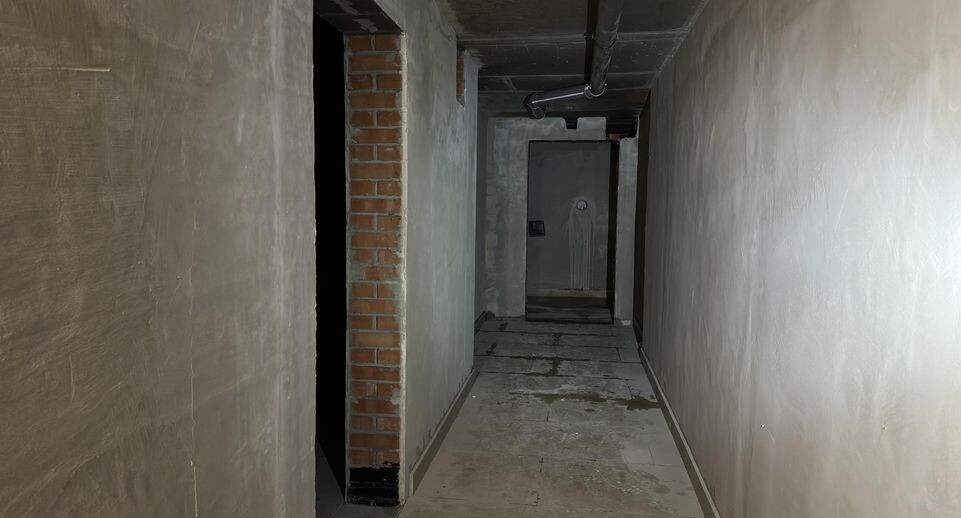    Кристина Тришина