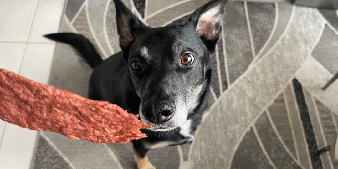 Кто больше дает вкусняшек