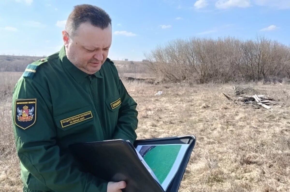    Незаконную свалку и стройку обнаружили в природном заказнике под Воронежем