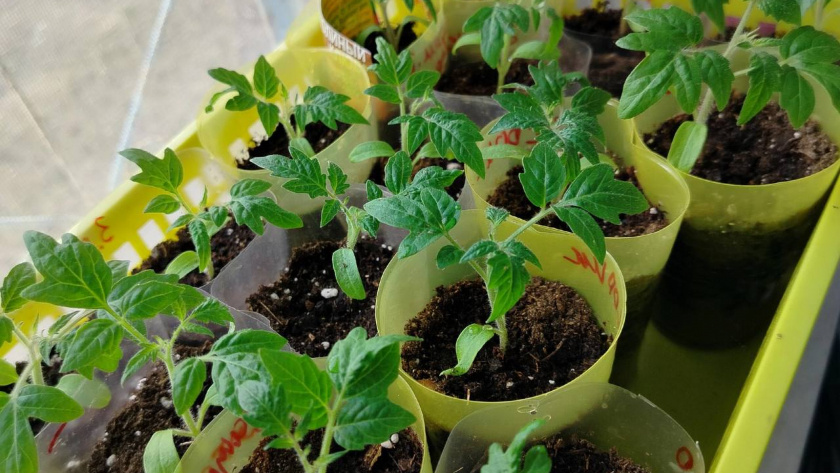    Автор фото - Анна Ефимова