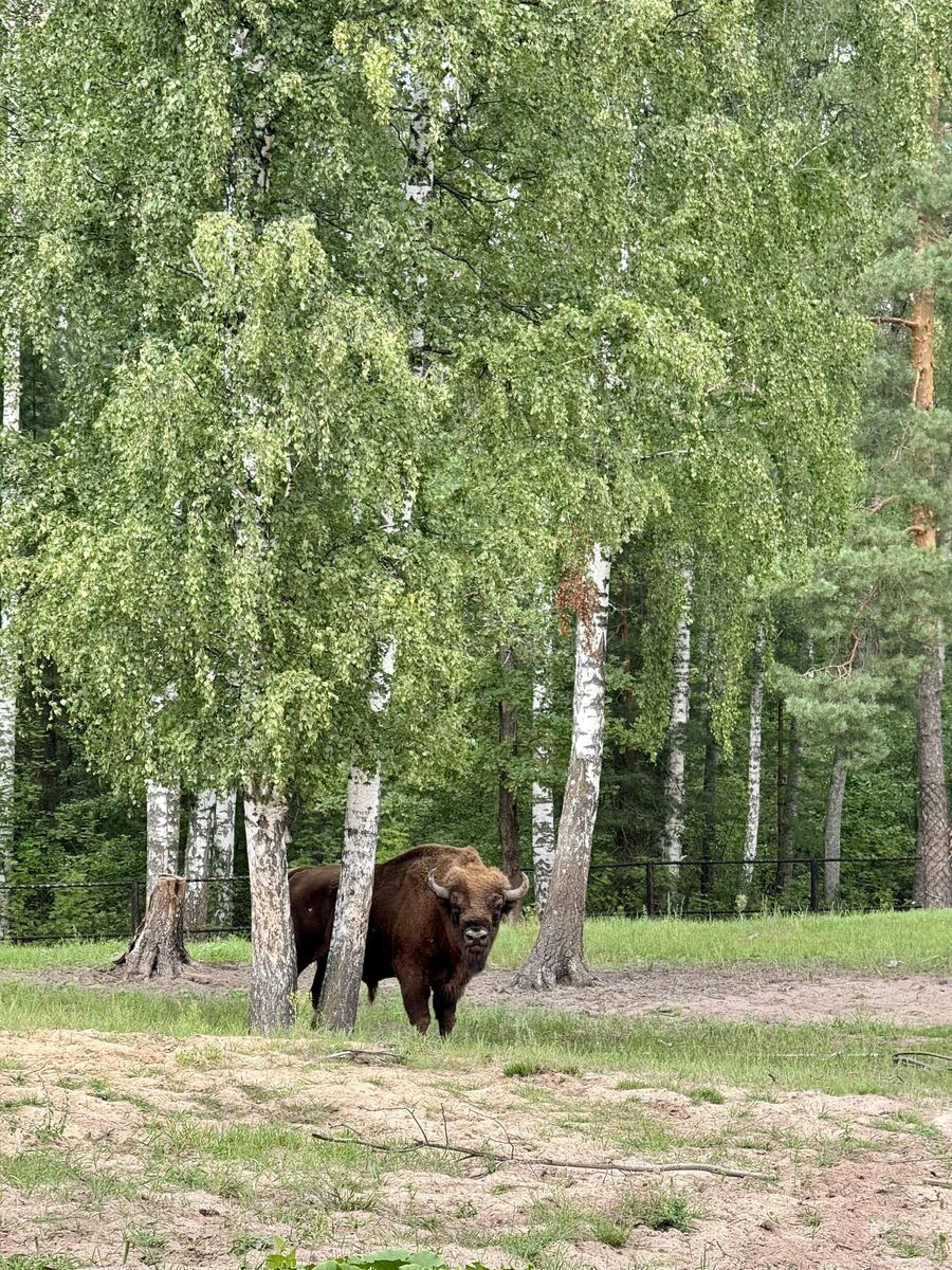 Заповедник в Рязанской области