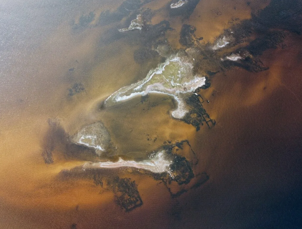 Фото от 2014 года, Молога