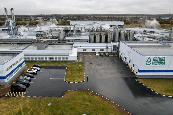 «Логика молока»   📷