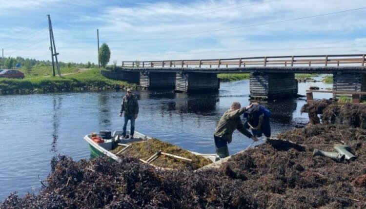    Фото: Министерство сельского и рыбного хозяйства Республики Карелия