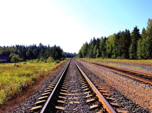    //Фото: pxhere.com