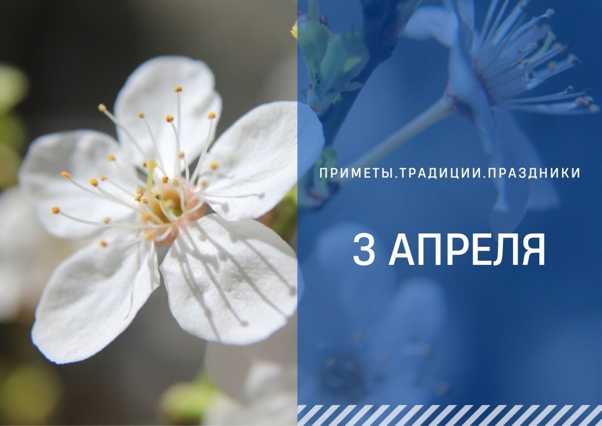 ГТРК "Ставрополье"