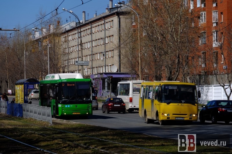     Фото: Владислав Постников / Вечерние ведомости