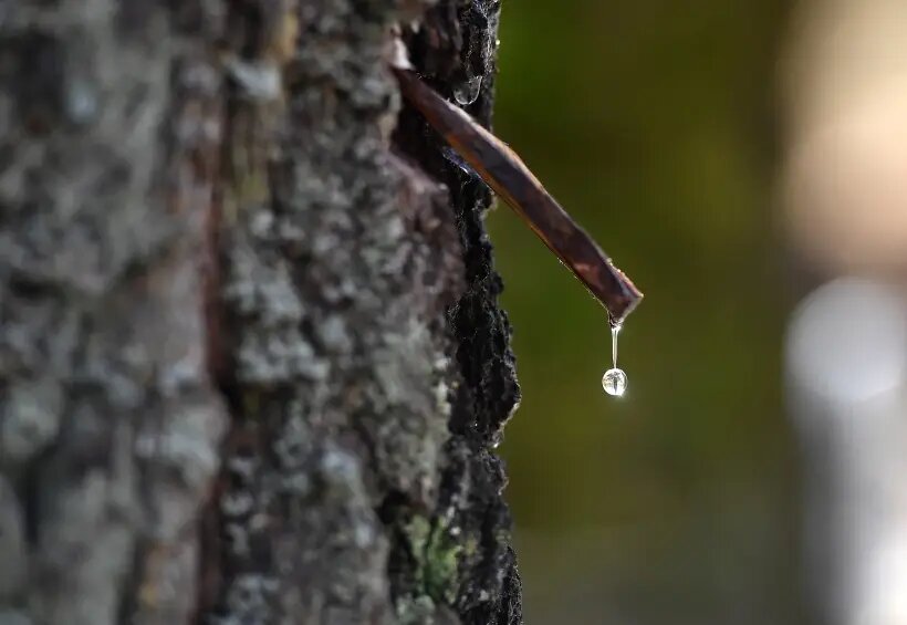     © РИА Новости. Виктор Драчев