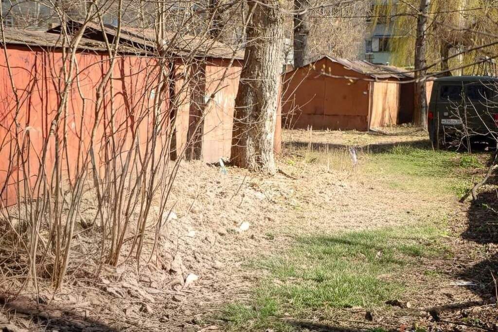    Фото администрации города Курска