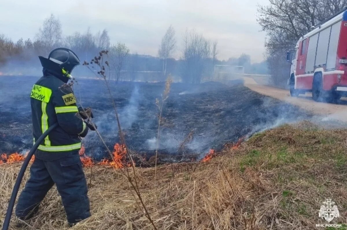    В Смоленской области зафиксирован рост числа палов сухой растительности